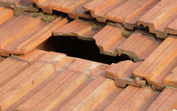 roof repair Brynafan, Ceredigion